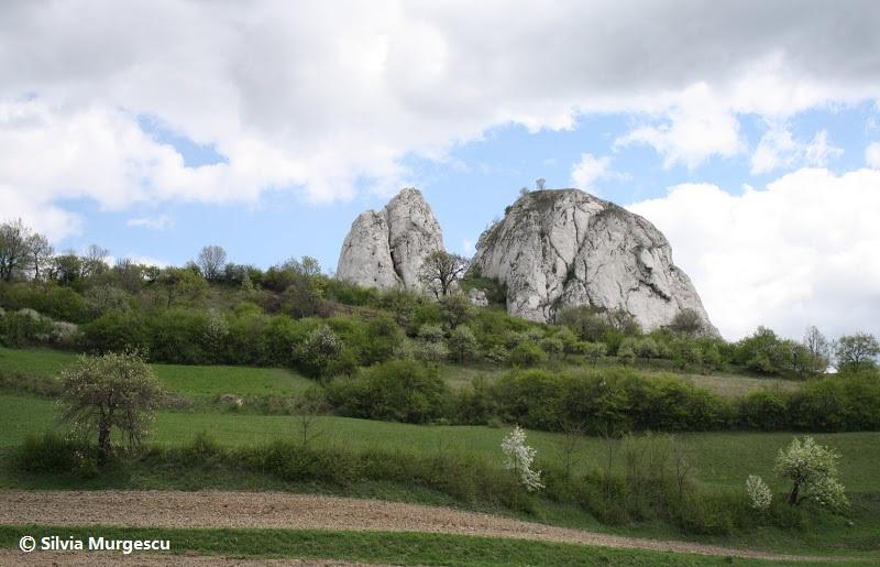 Valea Ampoiului