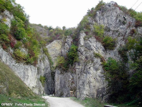 Cheile Folea (Olăneşti)