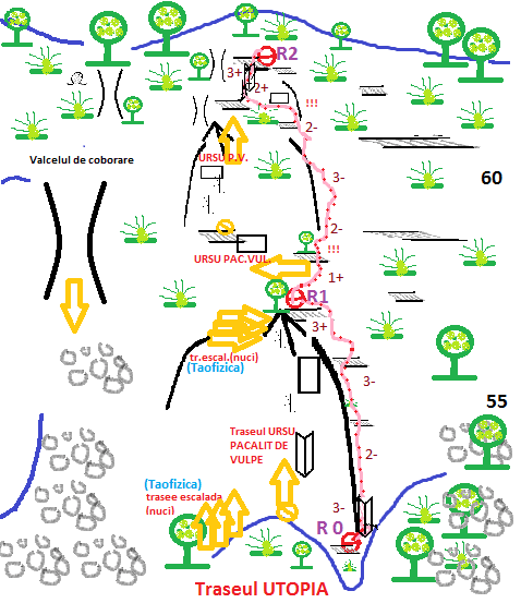 Sursă: topo-vadu-crisului.cassiomontana.org