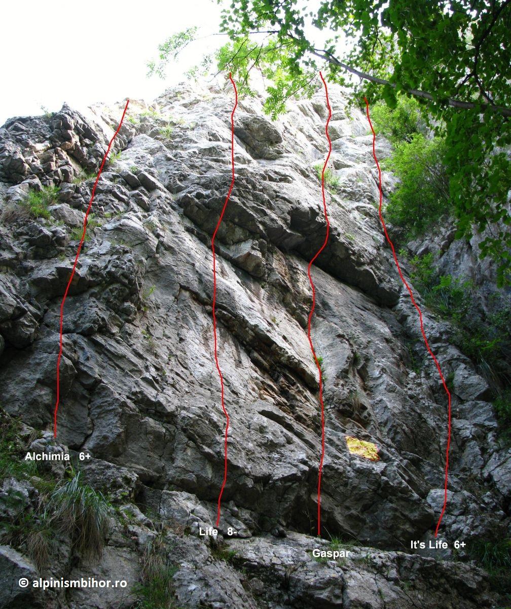 Sursă: alpinismbihor.ro