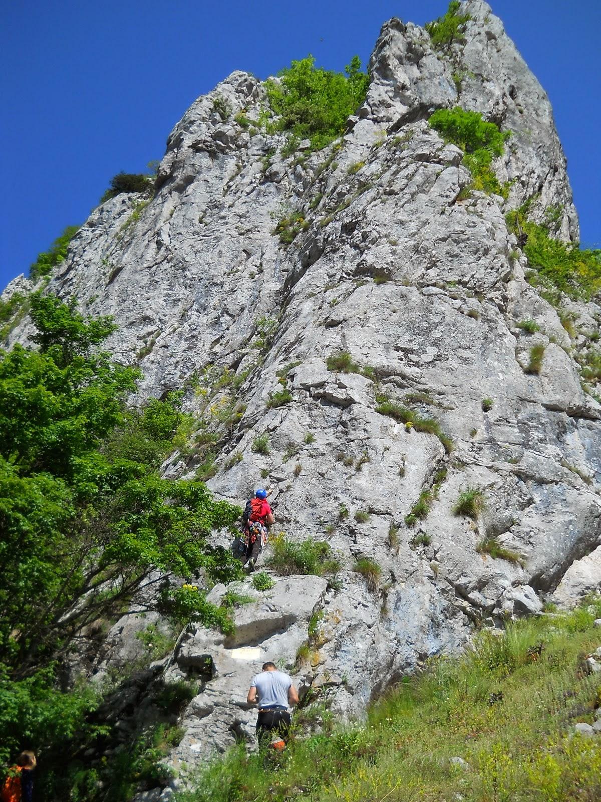 Sursă: Mihai Dăiţoiu