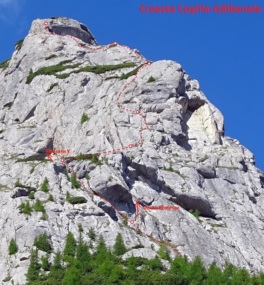 Creasta Coștila - Gălbenele